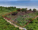 Prime Beachfront Plot at Uzi Island