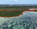 5ha Beach Plot for sale Kizimkazi