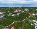 Ideal Plot for Development