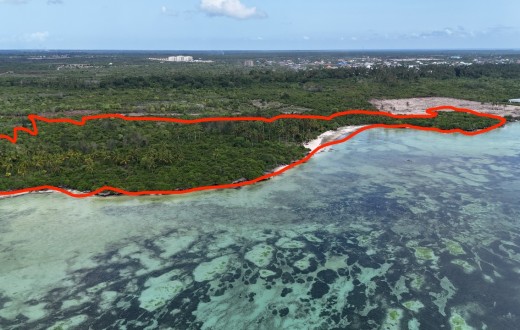5ha Beach Plot for sale Kizimkazi