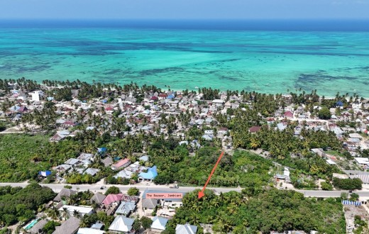 2500 SQM Road Plot - Jambiani Bazaar