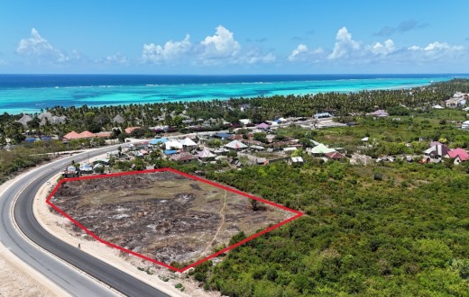 Michamvi Zanzibar Road Plot For Sale