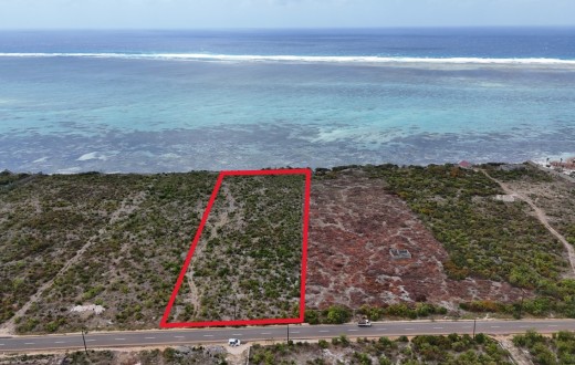 Makunduchi Beachfront Plot