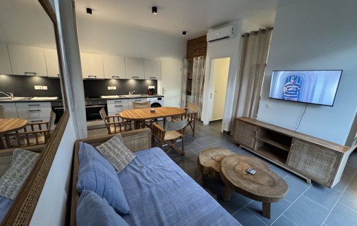 1BR Furnished Apartment for Sale – Paje