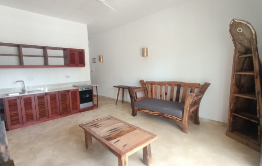 1 bedroom apartment for rent in Matemwe