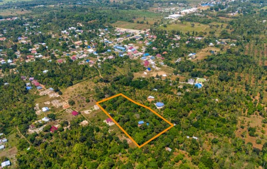 Farm and House for Sale in Kizimbani