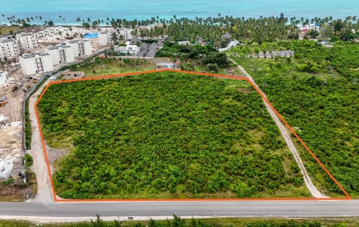 Perfectly Located Road Plot near Paje