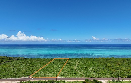 Beachfront Land for Sale in Makunduchi
